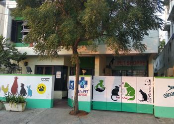 Vet-n-pet-hospital-Veterinary-hospitals-Khairatabad-hyderabad-Telangana-1