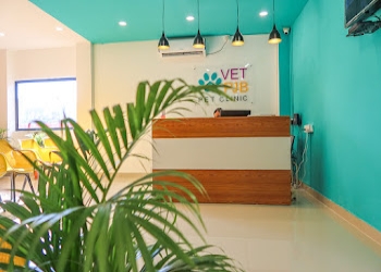 Vet-pjb-pet-clinic-Veterinary-hospitals-Dispur-Assam-2
