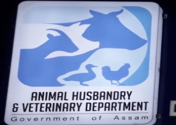 Veterinary-hospital-Veterinary-hospitals-Dispur-Assam-1