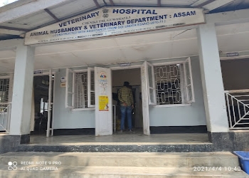 Veterinary-hospital-Veterinary-hospitals-Dispur-Assam-2