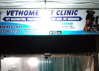 Vethome-pet-clinic-Veterinary-hospitals-Rohtak-Haryana-1