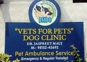Vets-for-pets-Veterinary-hospitals-Ludhiana-Punjab