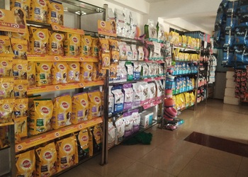 Vetz-for-petz-Veterinary-hospitals-Devaraja-market-mysore-Karnataka-3