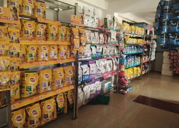 Vetz-for-petz-Veterinary-hospitals-Vijayanagar-mysore-Karnataka-3