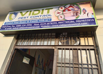Vidit-pest-control-Pest-control-services-Faridabad-new-town-faridabad-Haryana-1