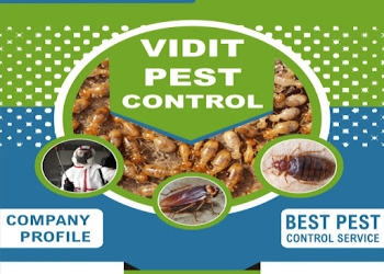 Vidit-pest-control-Pest-control-services-Sector-31-faridabad-Haryana-1