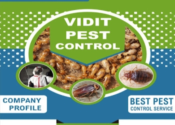 Vidit-pest-control-Pest-control-services-Sector-35-faridabad-Haryana-1