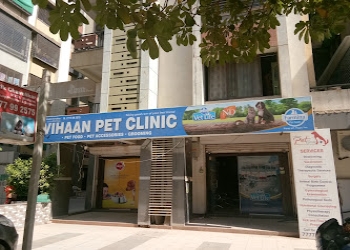 Vihaan-pet-clinic-Veterinary-hospitals-Gandhinagar-Gujarat-2