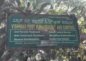 Vishwas-pest-management-and-control-Pest-control-services-Armane-nagar-bangalore-Karnataka-1