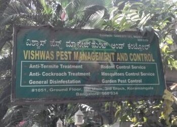Vishwas-pest-management-and-control-Pest-control-services-Kalyan-nagar-bangalore-Karnataka-1