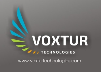 Voxtur-technologies-Digital-marketing-agency-Rohtak-Haryana-1