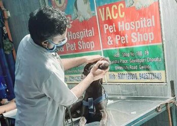 Vyas-animal-care-Veterinary-hospitals-Gwalior-Madhya-pradesh-2