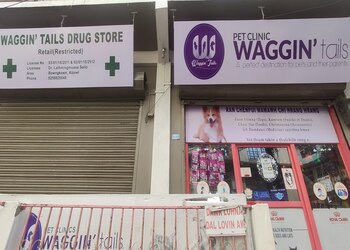 Waggin-tails-pet-clinic-Veterinary-hospitals-Aizawl-Mizoram-1