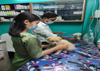 Wagging-tails-Veterinary-hospitals-Agartala-Tripura-2