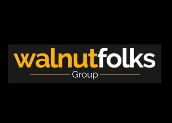 Walnut-folks-pvt-ltd-Digital-marketing-agency-Nagpur-Maharashtra-1