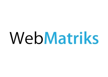 Webmatriks-Digital-marketing-agency-Faridabad-Haryana-1