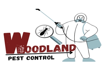 Woodland-pest-control-services-Pest-control-services-Ameerpet-hyderabad-Telangana-1