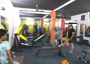 Workout-world-gym-Gym-Shastri-nagar-ghaziabad-Uttar-pradesh-1