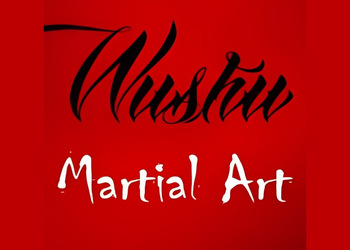 Wushu-martial-arts-academy-Martial-arts-school-Patna-Bihar-1