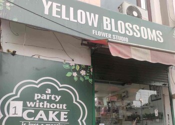 Yellow-blossoms-flower-studio-Flower-shops-Ludhiana-Punjab-1
