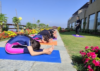 Yoga-society-of-kashmir-Yoga-classes-Rajbagh-srinagar-Jammu-and-kashmir-2