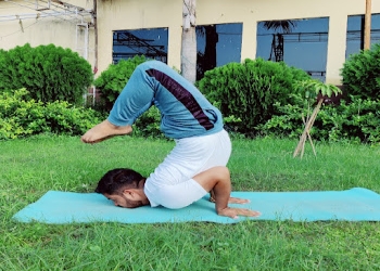 Yogadhani108-Yoga-classes-Nehru-nagar-ghaziabad-Uttar-pradesh-1