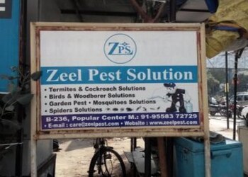 Zeel-pest-solution-Pest-control-services-Naranpura-ahmedabad-Gujarat-1