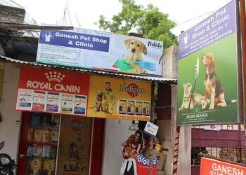 Zonyx-pet-shop-clinic-Pet-stores-Ranchi-Jharkhand-1