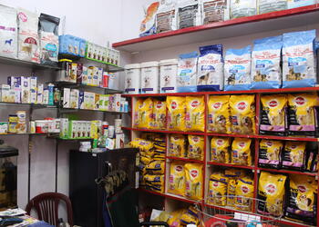 Zonyx-pet-shop-clinic-Pet-stores-Ranchi-Jharkhand-2
